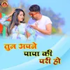 About Tum Apne Papa Ki Pari Ho Song