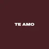About TE AMO Song