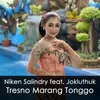 About Tresno Marang Tonggo Song