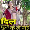 About Dil Chura Ke Le Gayi Song