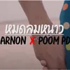 About หมดลมหนาว Song