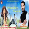 About Number Tera Song
