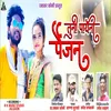 About Tuni Payni Paijan Song