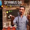 Tu Delala Dılemın