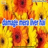 About damage mera liver hai Song