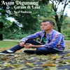 About Asam Di Gunung Garam Dilaut Song