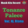 About Tonanre Palece Song