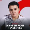 About Жүрген жан тілегімде Song