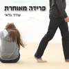 About פרידה מאוחרת Song