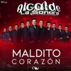 About Maldito Corazón Song