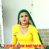 About Tere Bin Mewati Song
