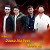 About Dausa Jila Veer Shero Ka Song