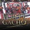 Porte Gacho