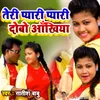 About Teri Piyari Pyari Dobo Akhiyan Song