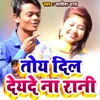 About Toy Dil Deyde Na Rani Song