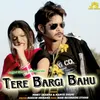 About Tere Bargi Bahu Pahla Dekhi Song