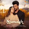About Numaish Song
