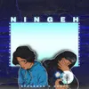 About Ningeh Song