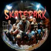 About SkatePark Song