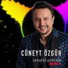 About Serseri Gönlüm Remix Song