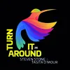 About Turn It Around Radio Mix Song