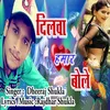 About Dilva Hamar Bole Song