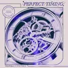 About Perfect Timing Song