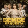 About En Peligro De Extinción Song