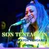 About Mi Mayor Venganza En Vivo Song