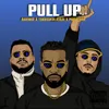 About Pull Up Song