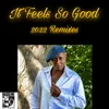 It Feels So Good Chelsea Singh Instrumental Remix