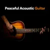 TikTok Acoustic Guitar