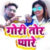 About Gori Tor Pyare Song