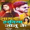 About Lagta Haradiya Janu Ke Song