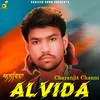 About Alvida Song