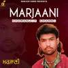 About Marjaani Song