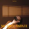 Mi-aduc aminte