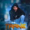 About Taane Song