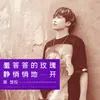 About 羞答答的玫瑰静悄悄地开 壮语版 Song