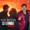About El Precio De Tus Besos Song