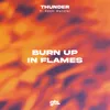 About Burn up in Flames Song