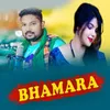 About Bhamara Song