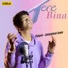 About Tere Bina Cover Version Song