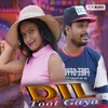 About Dil Toot Gaya Song