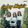 About Geboy Mujair Song