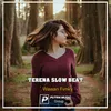 Terena Slow Beat Remix