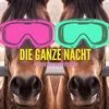 About Die ganze Nacht Song