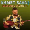 About Deli Dolu Sevdiğim Song