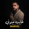 About غايب حنوني Song