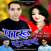 About Paru Bhotiyani Song